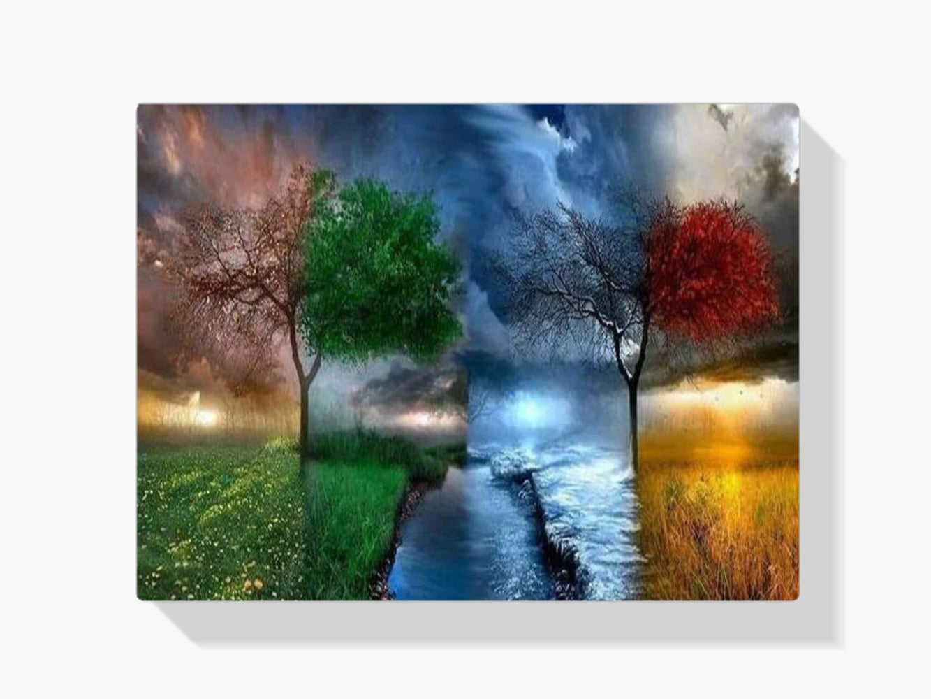 4-Jahreszeiten-Bäume - Malen nach Zahlen