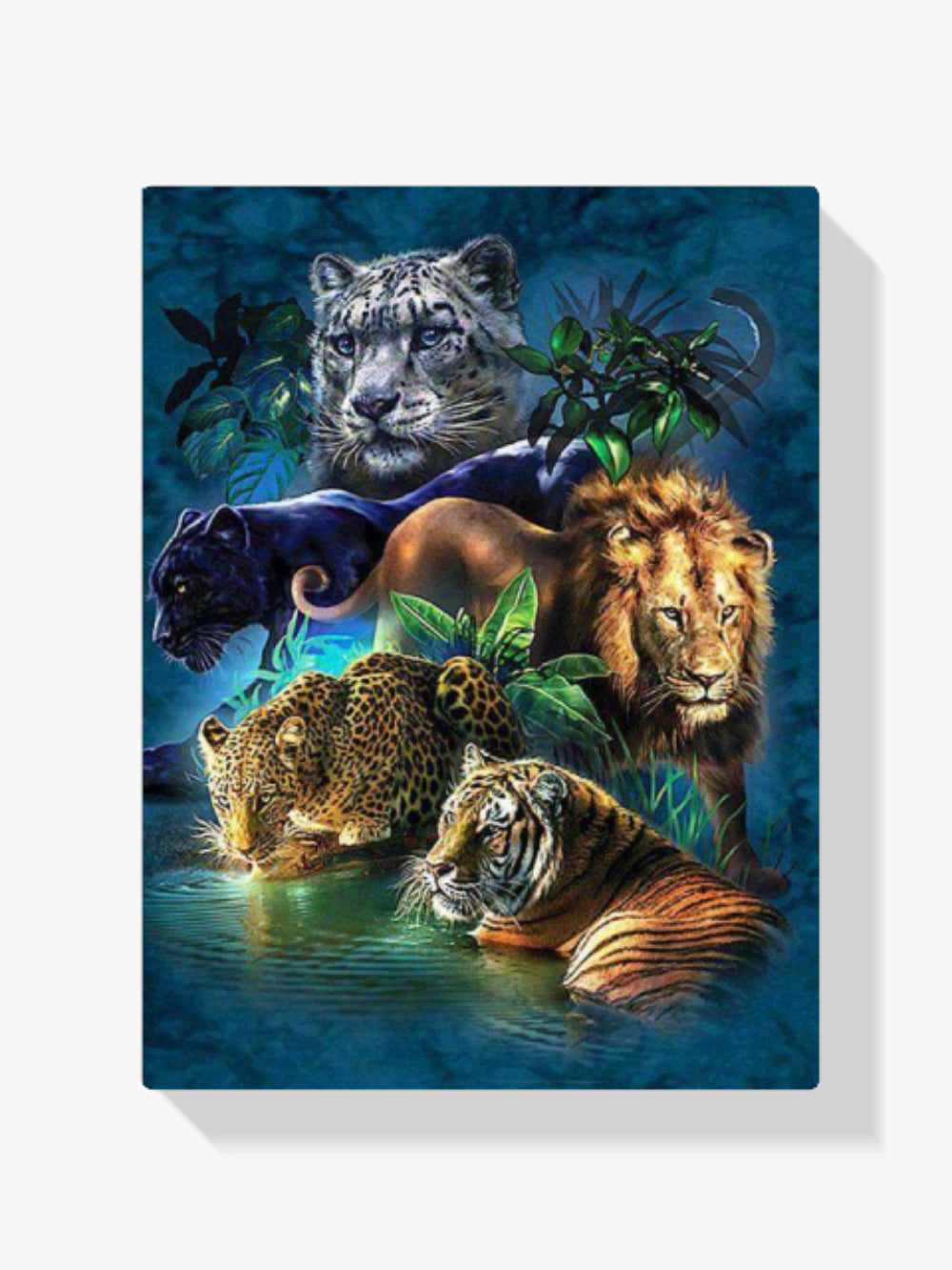 5 Katzen | Aurora Borealis - Malen nach Zahlen