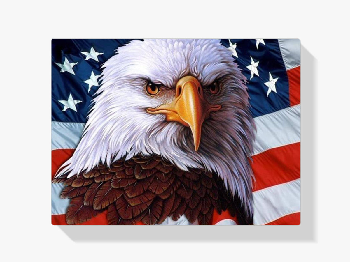 Adler - Amerikanische Flagge - Malen nach Zahlen