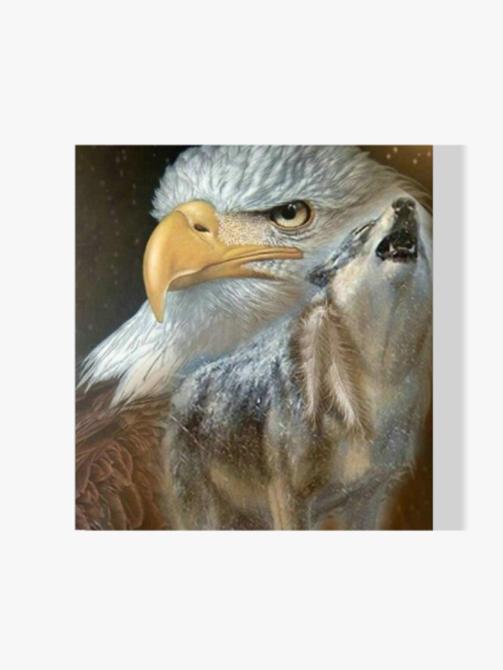 Adler - Wolf - Malen nach Zahlen