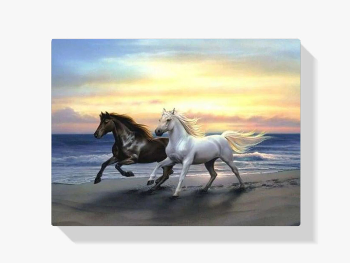 Am Strand rennende Pferde - Malen nach Zahlen