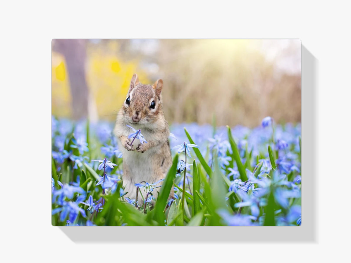 Blüte 1 - Malen nach Zahlen