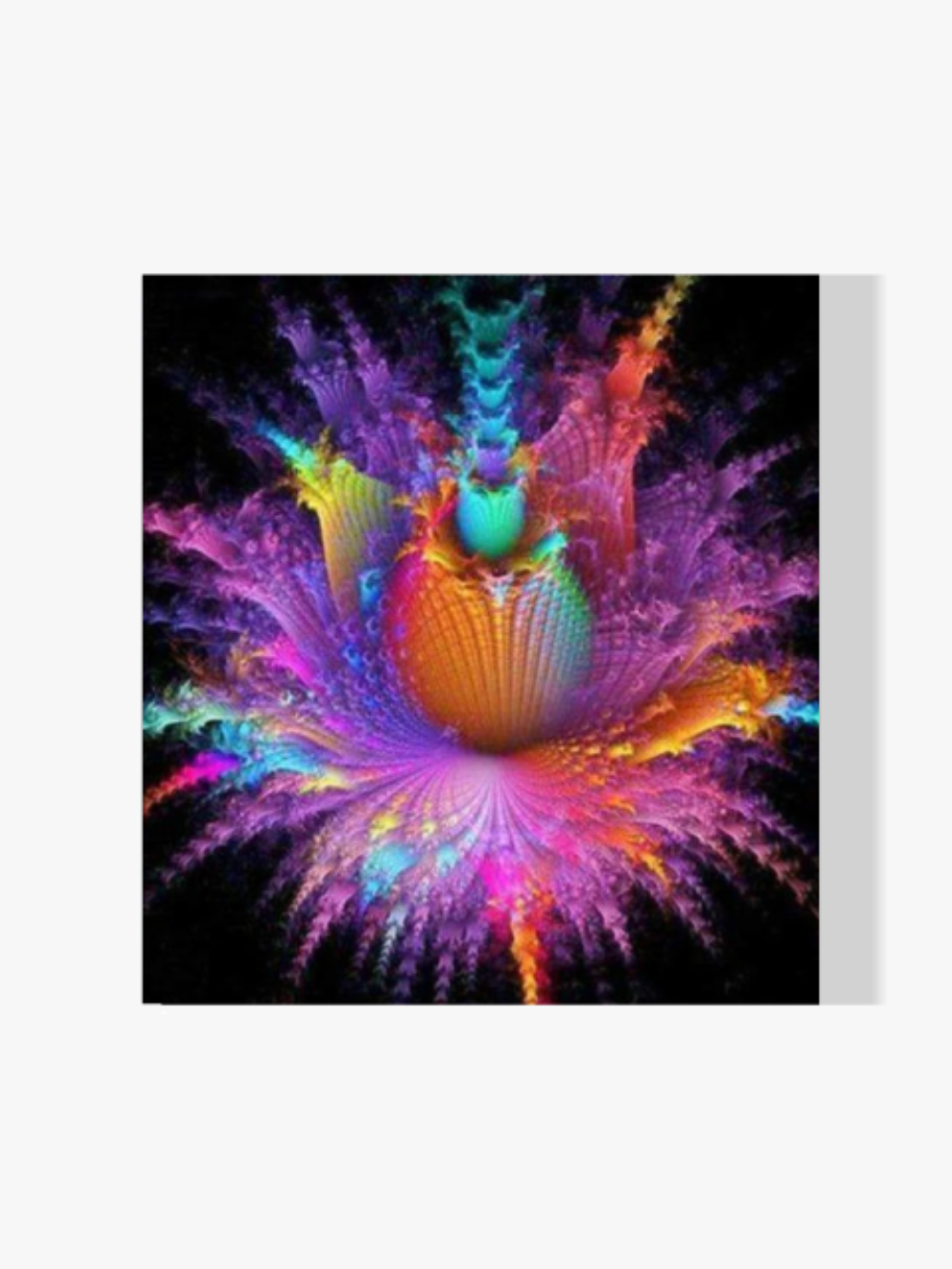 Blum Farbe Bunt - Malen nach Zahlen