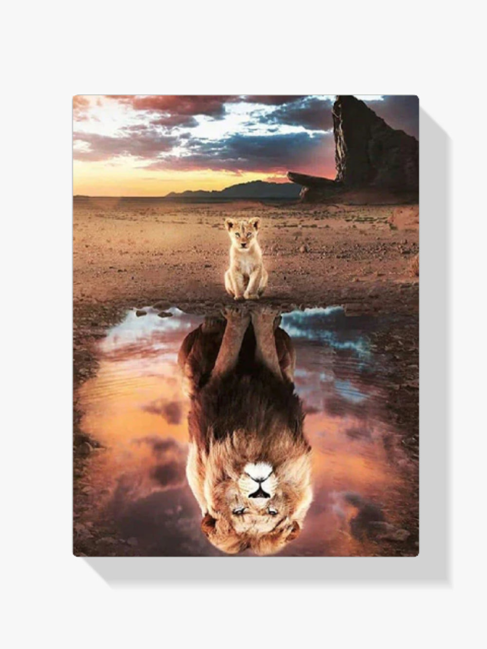 Cub - Löwe - Malen nach Zahlen