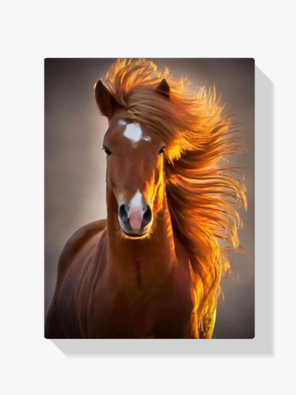 Die braune schöne Stute - Malen nach Zahlen