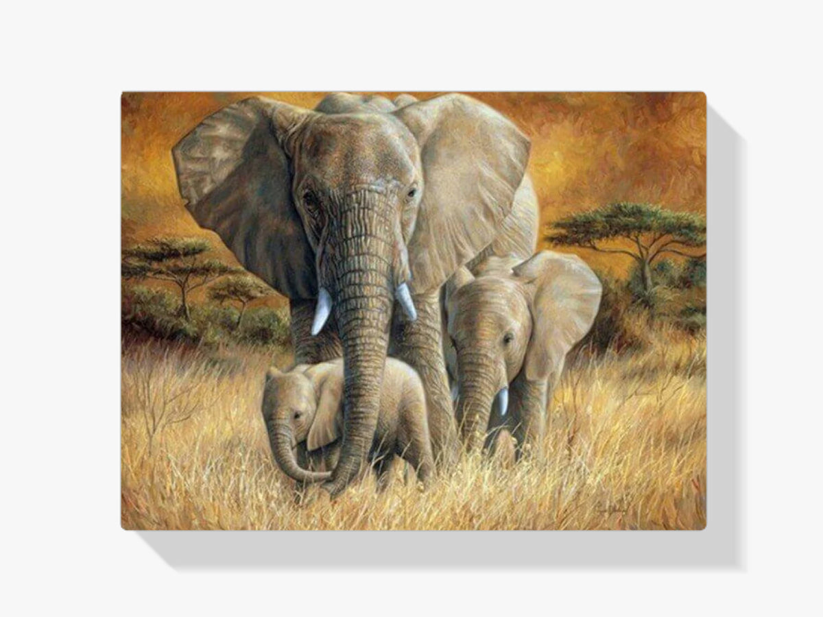 Elefantenfamilie im Gras - Malen nach Zahlen