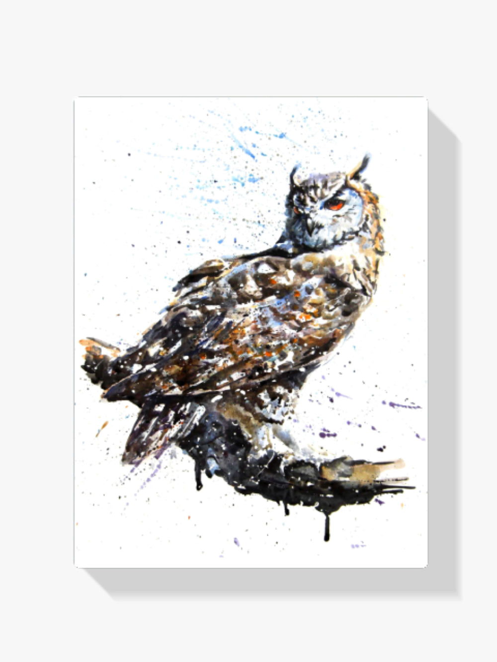 Eule - Malen nach Zahlen