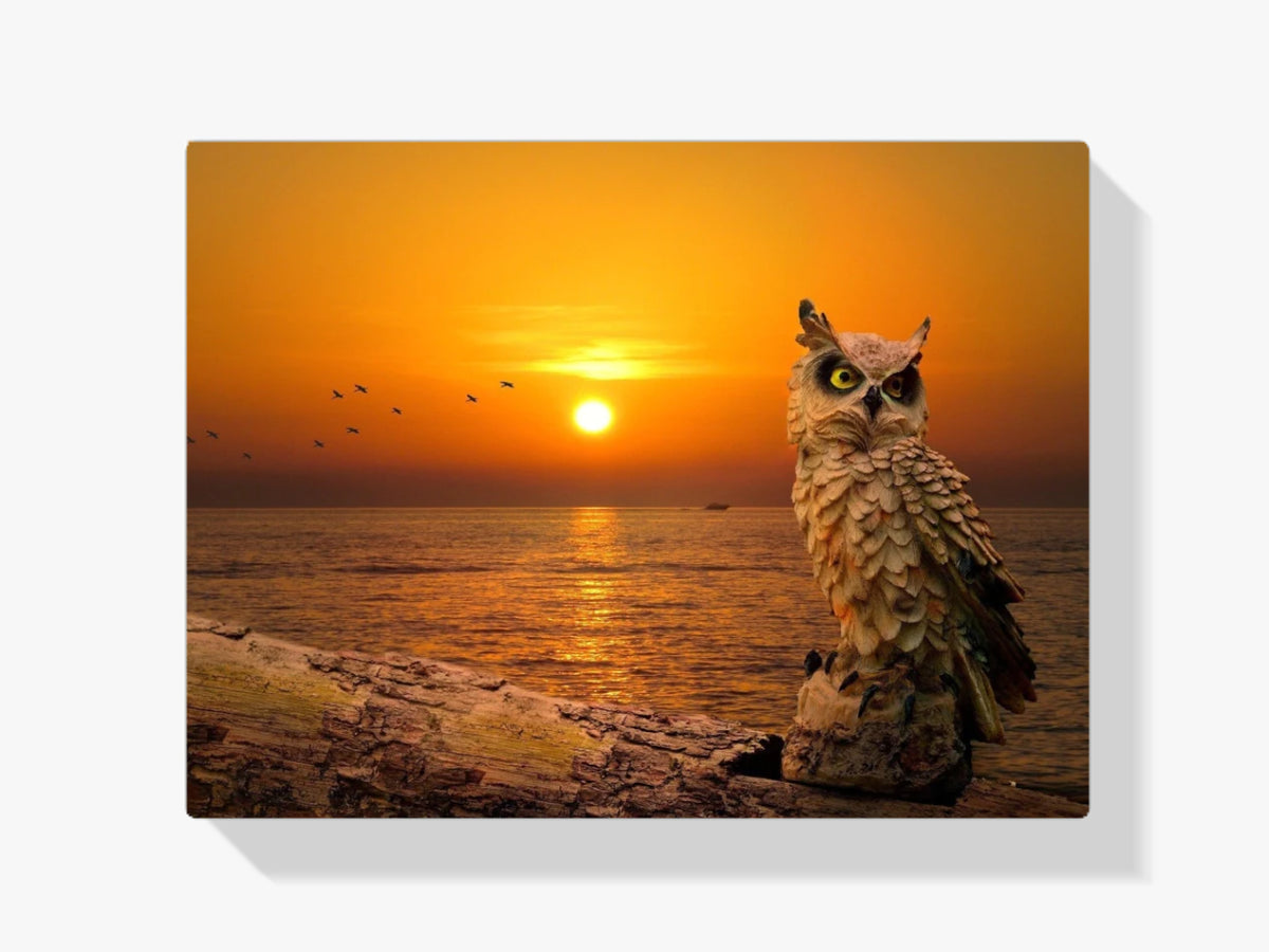 Eule bei Sonnenuntergang - Malen nach Zahlen