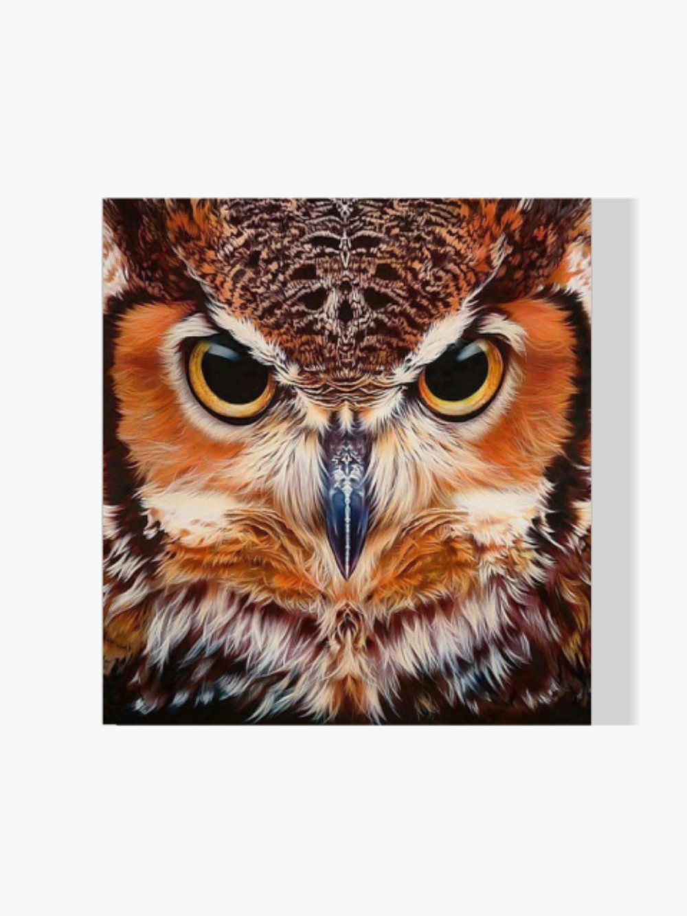 Eulen Portrait - Malen nach Zahlen