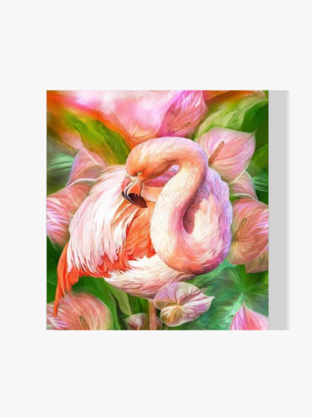 Flamingo - Malen nach Zahlen