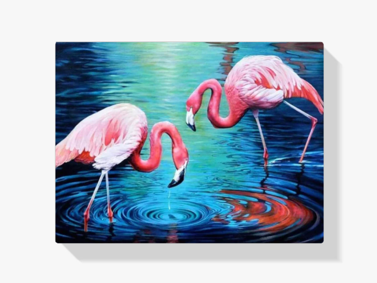 Flamingos im Wasser - Malen nach Zahlen
