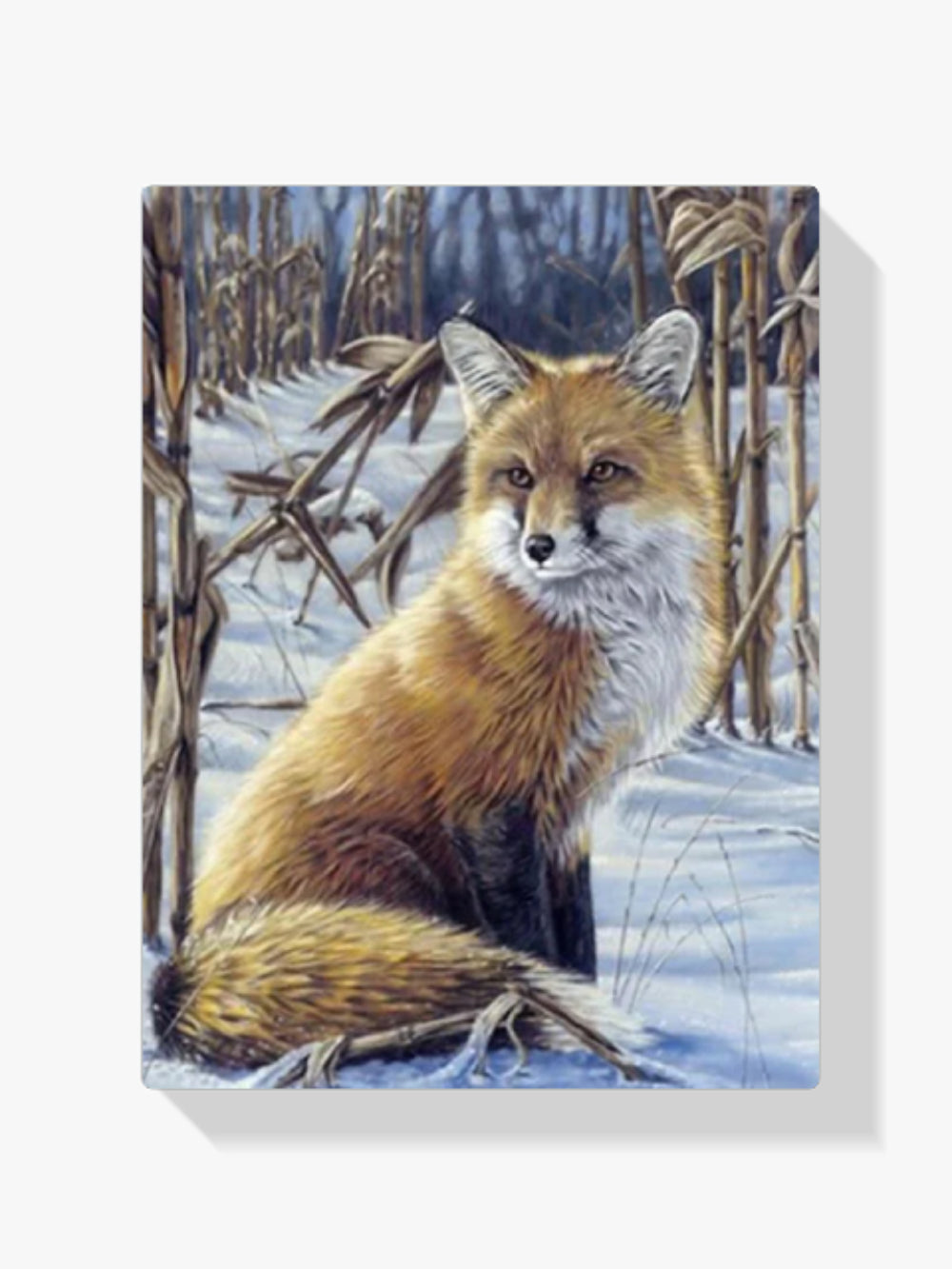 Fuchs - Malen nach Zahlen