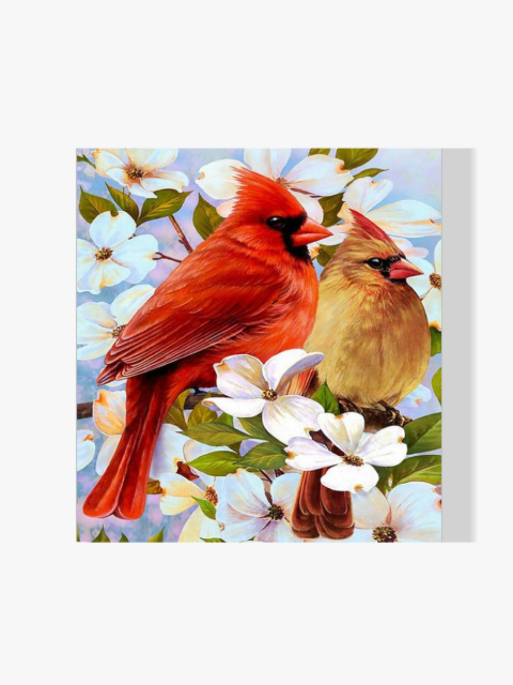 Haubenmeise - Malen nach Zahlen