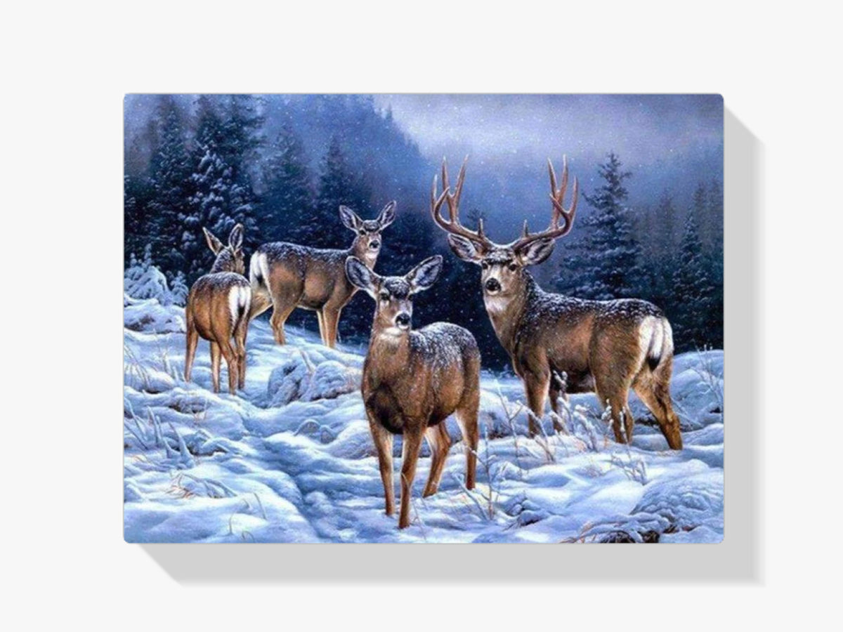 Hirsche im Schnee - Malen nach Zahlen