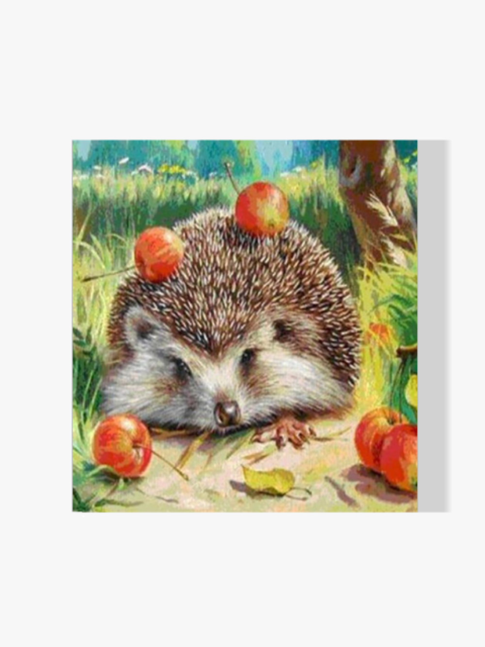 Igel - Malen nach Zahlen