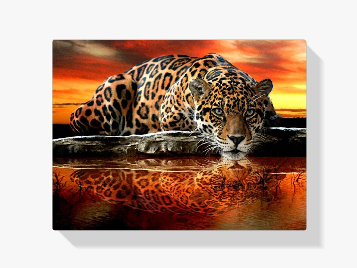 Leopard - Malen nach Zahlen