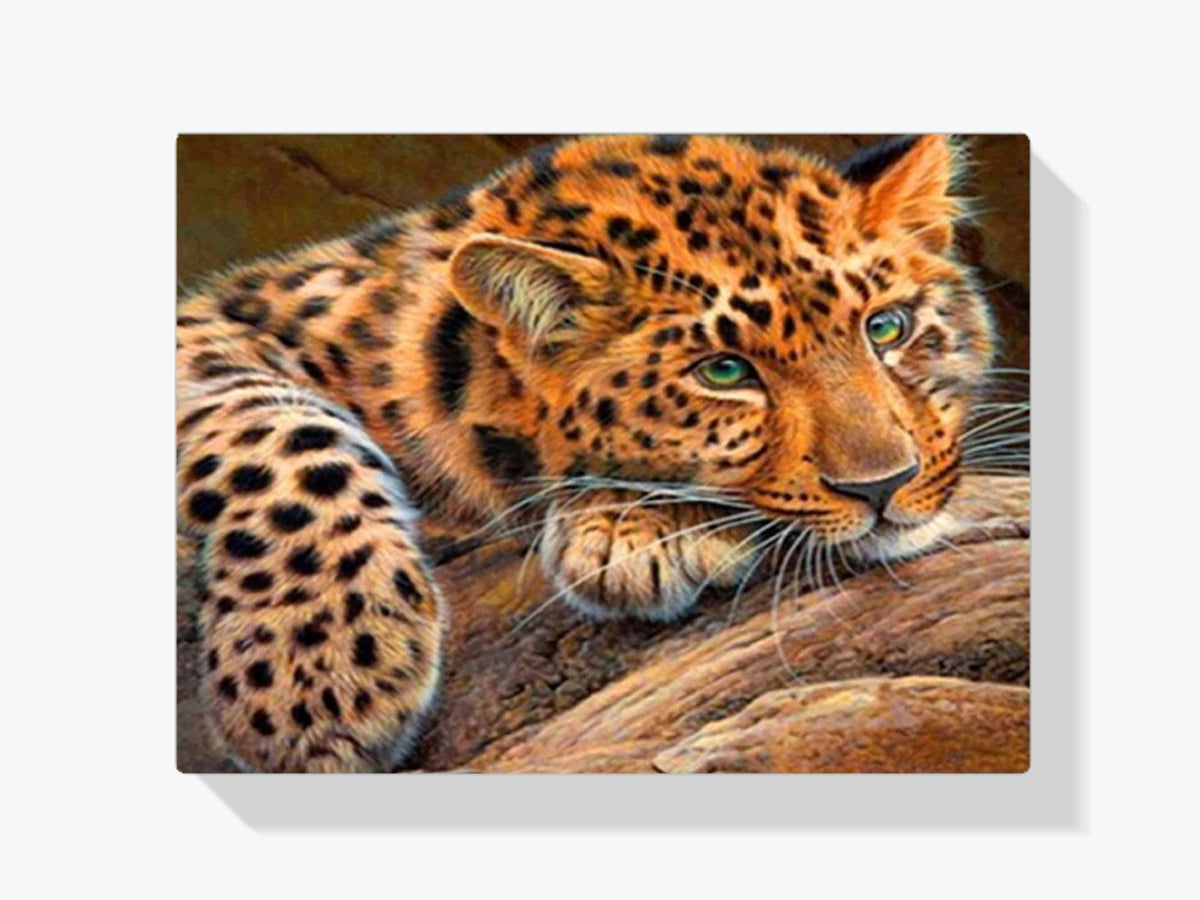 Leopard - Malen nach Zahlen