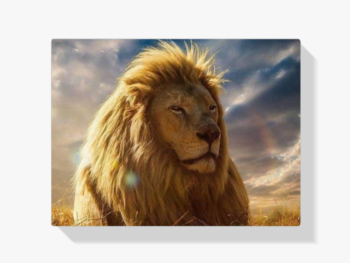 Löwe Sonnenschein - Malen nach Zahlen