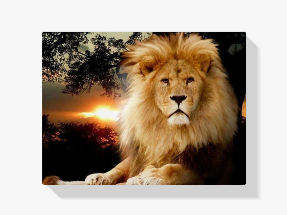 Löwe bei Sonnenuntergang - Malen nach Zahlen