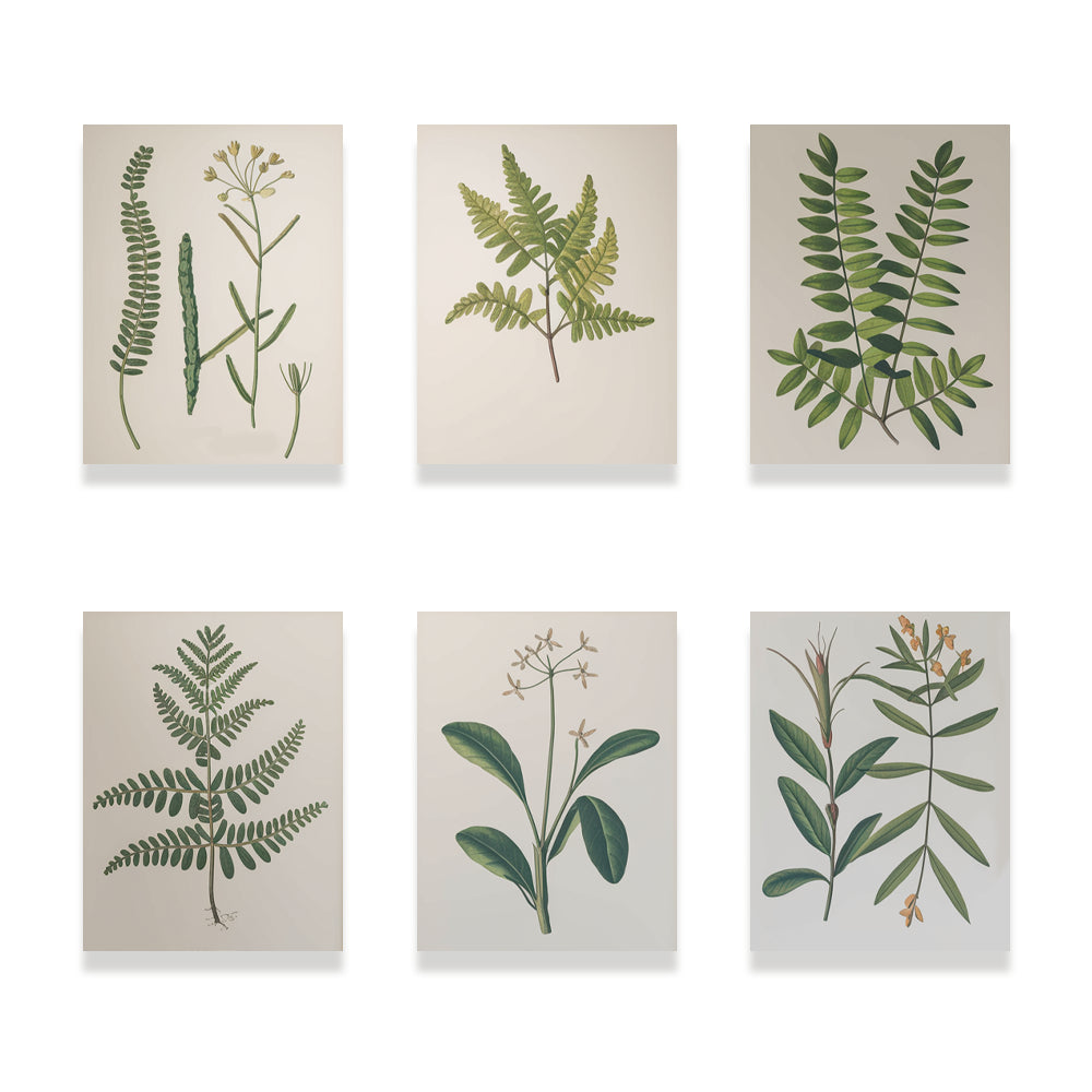 Malen nach Zahlen - 6 Mini-Gemälde | Botanische Pflanzen 2.0 Edition-Set