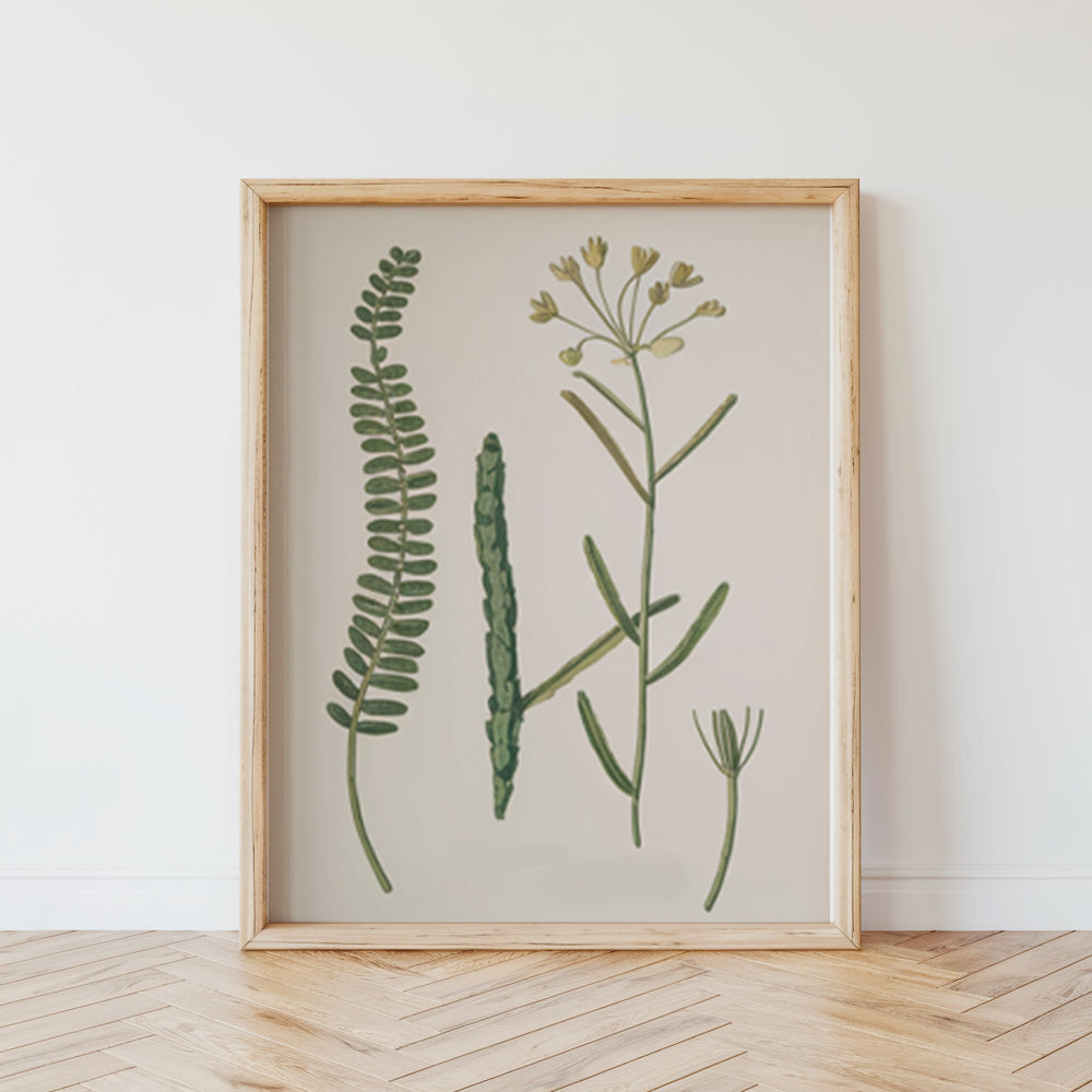 Malen nach Zahlen - 6 Mini-Gemälde | Botanische Pflanzen 2.0 Edition-Set