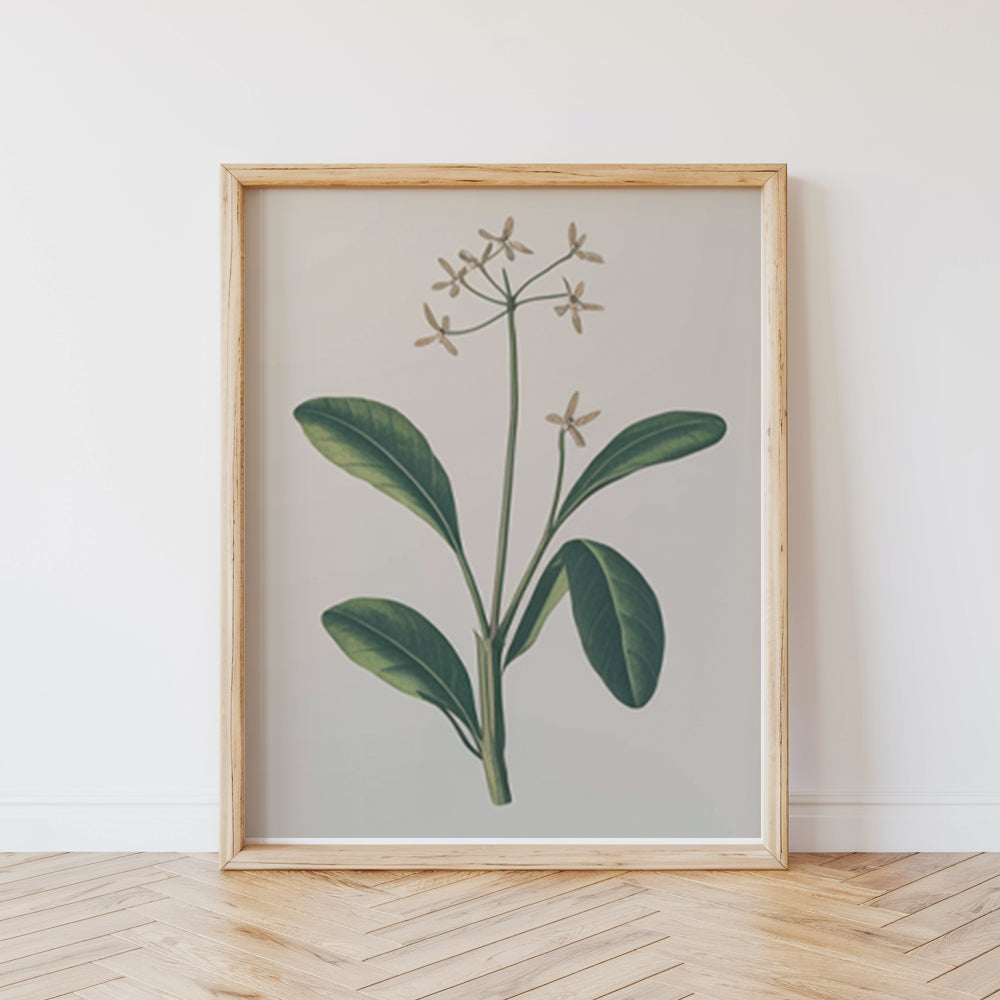 Malen nach Zahlen - 6 Mini-Gemälde | Botanische Pflanzen 2.0 Edition-Set