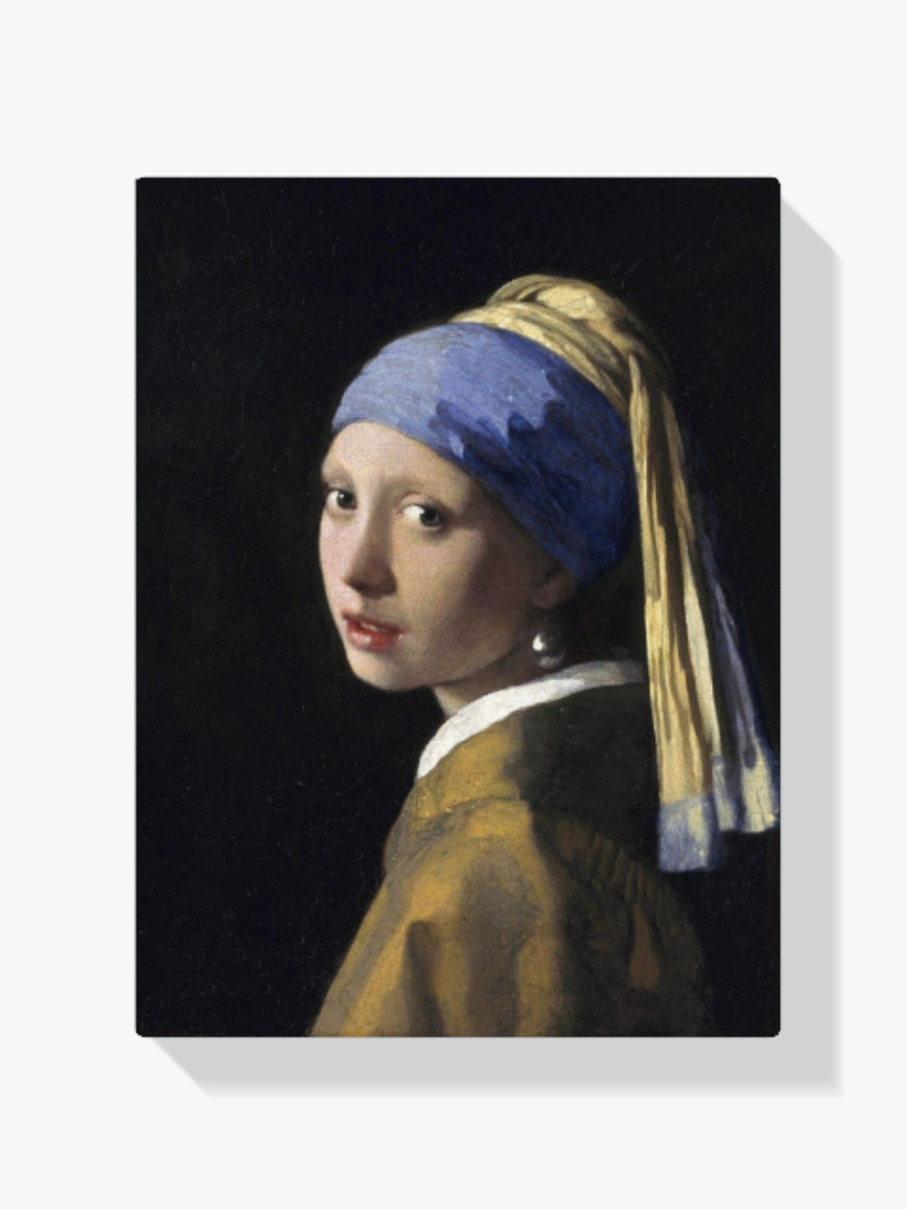 Malen nach Zahlen - Das mädchen mit dem perlenohrring