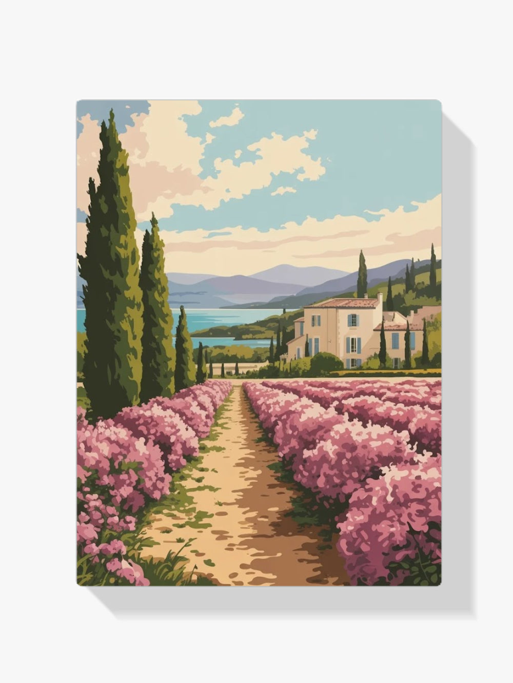 Malen nach Zahlen – Küstenzypresse