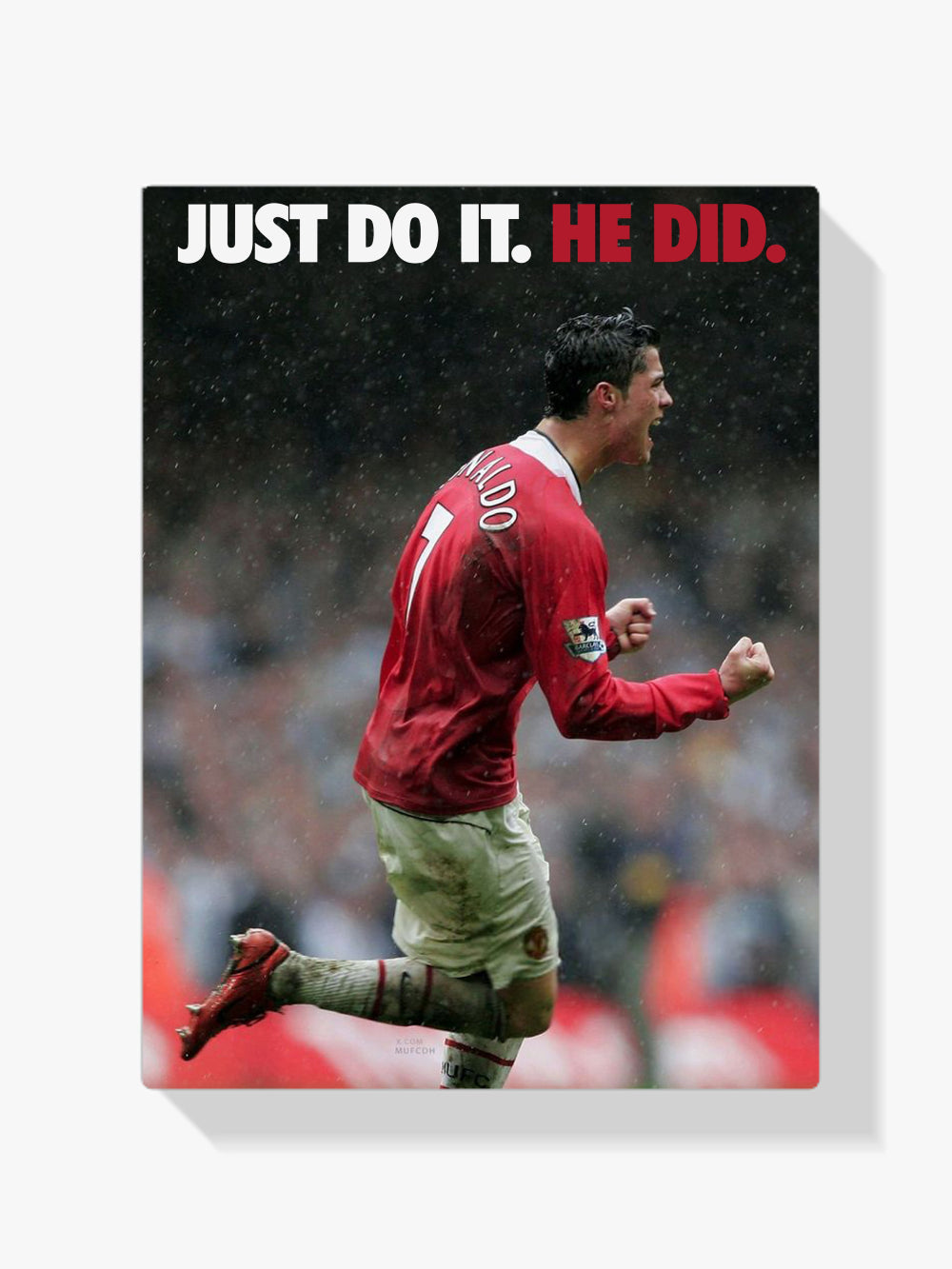 Malen nach Zahlen - Ronaldo