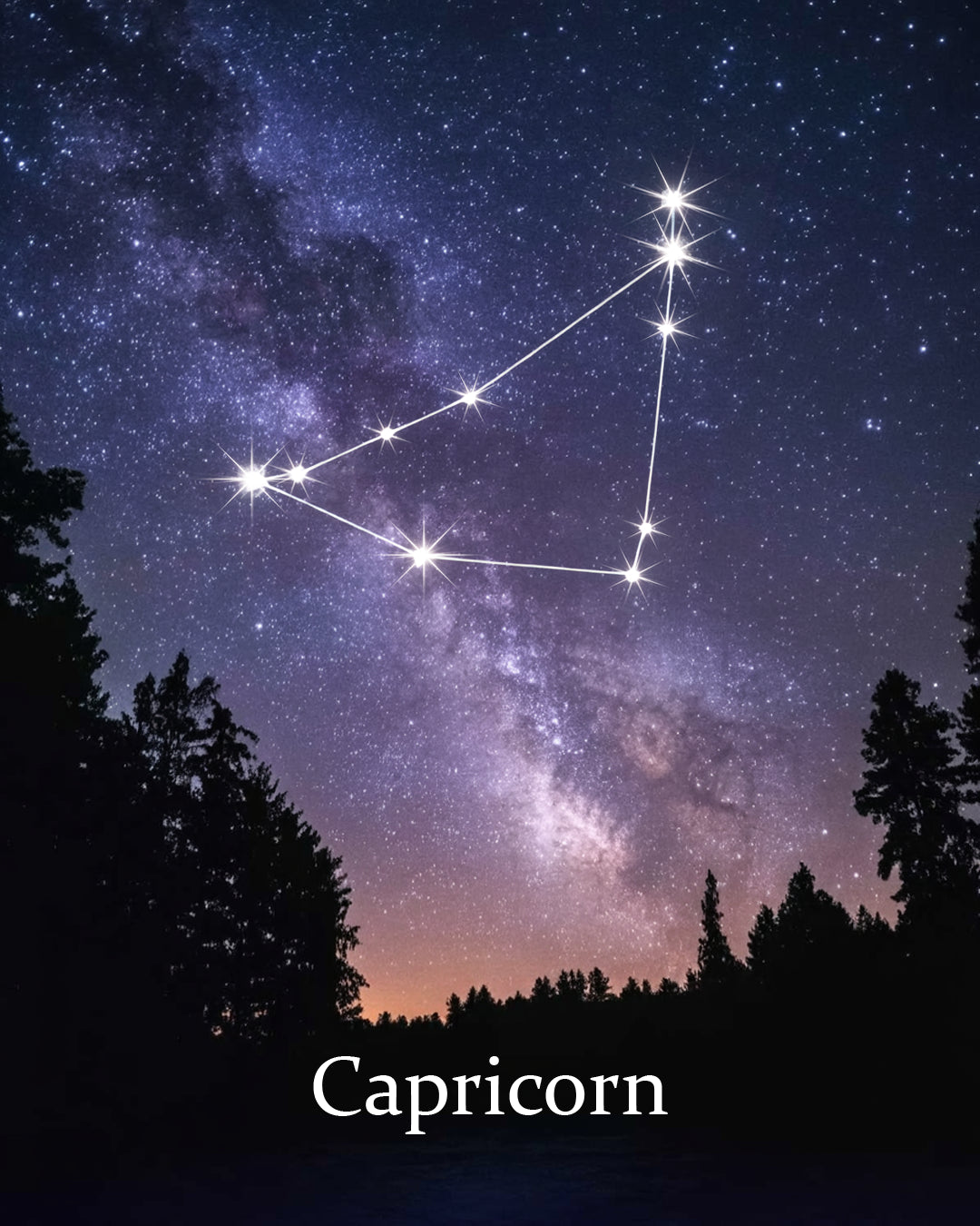 Malen nach Zahlen – Sternzeichen – Steinbock-2 (2)