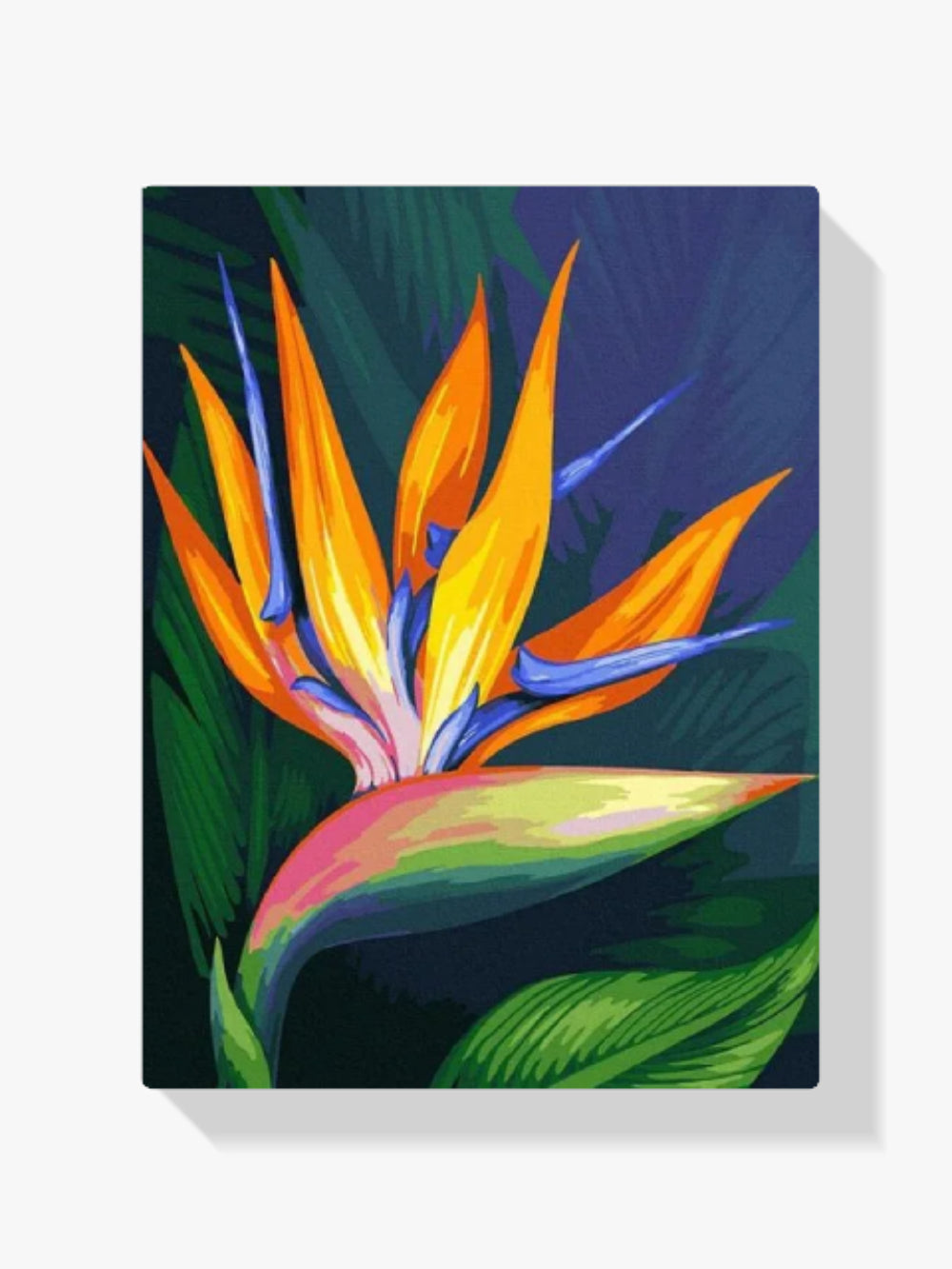 Malen nach Zahlen – Blume Paradiesvogel