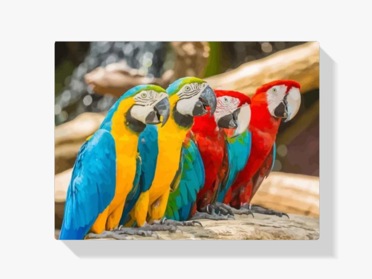 Malen nach Zahlen – Bunte Makaw-Papageien