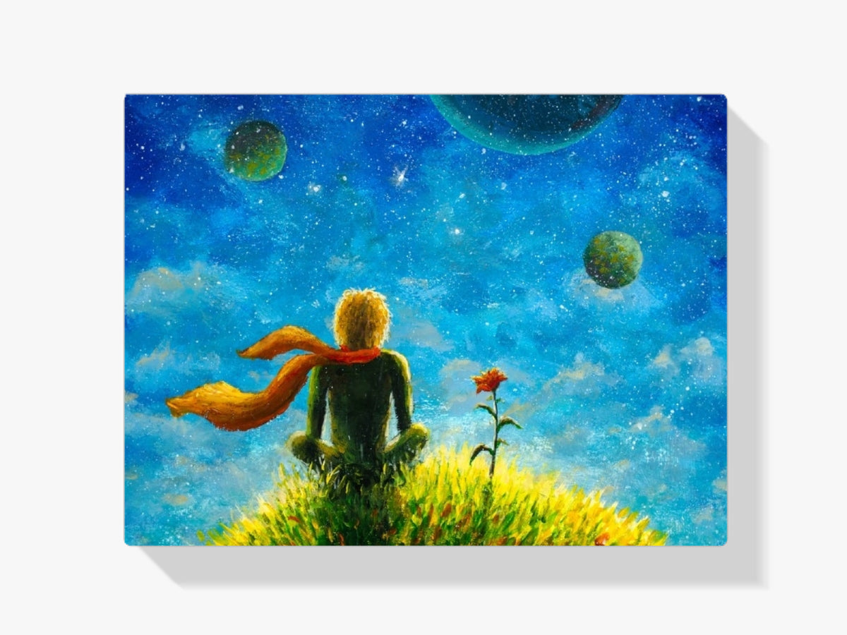 Malen nach Zahlen – Der kleine Prinz