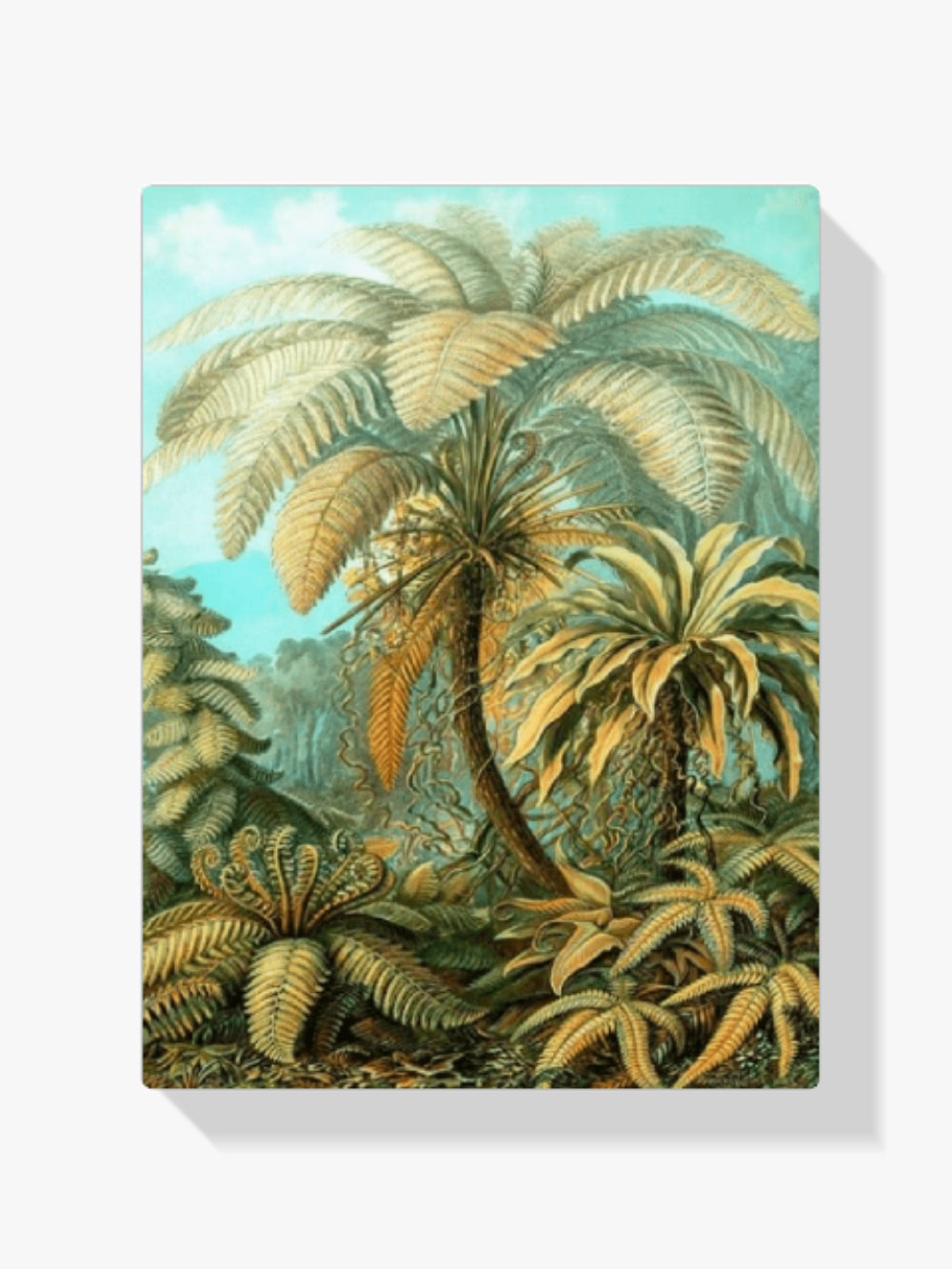 Malen nach Zahlen – Filicinae Ernst Haeckel