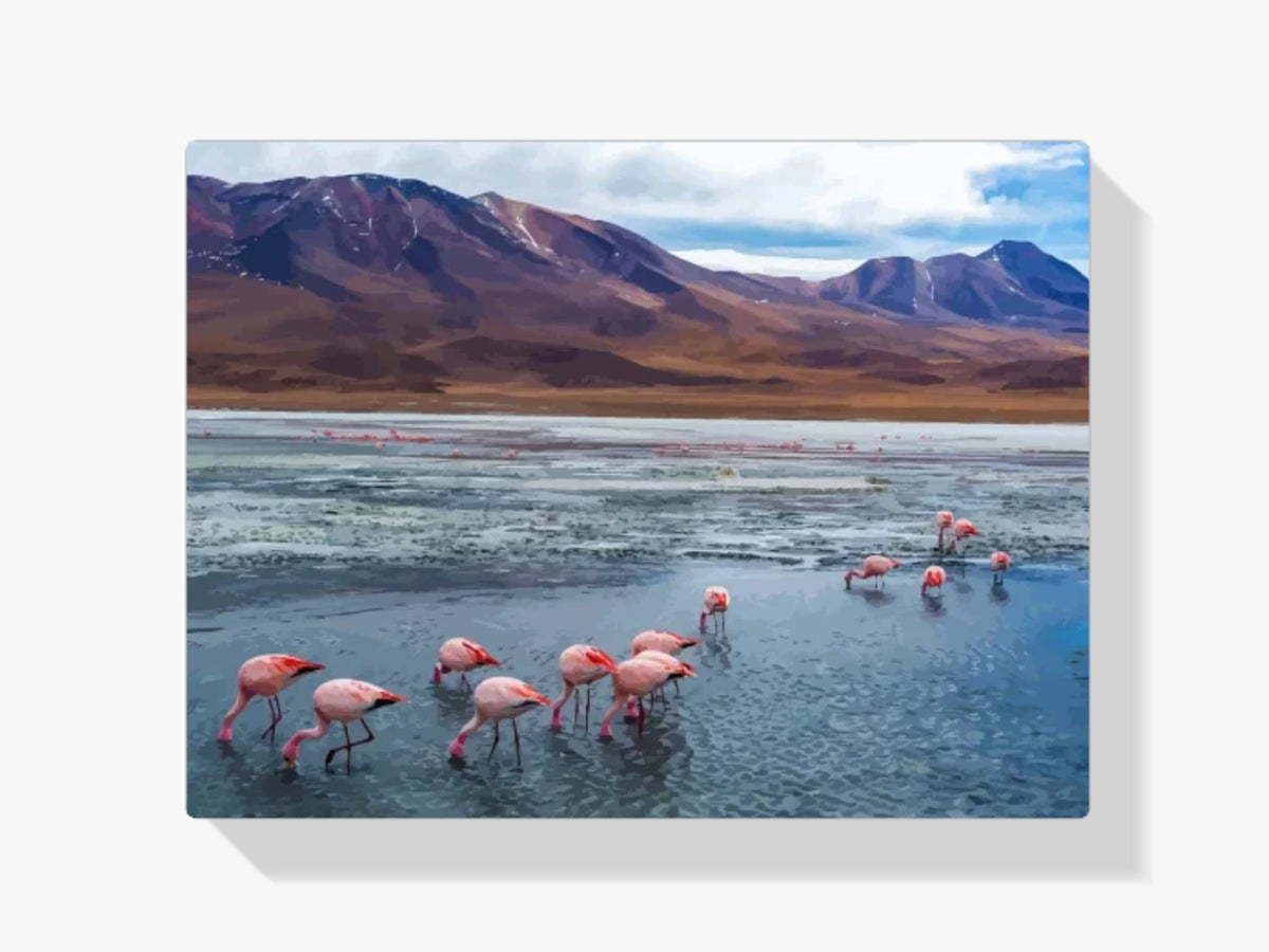Malen nach Zahlen – Flamingos in Bolivien
