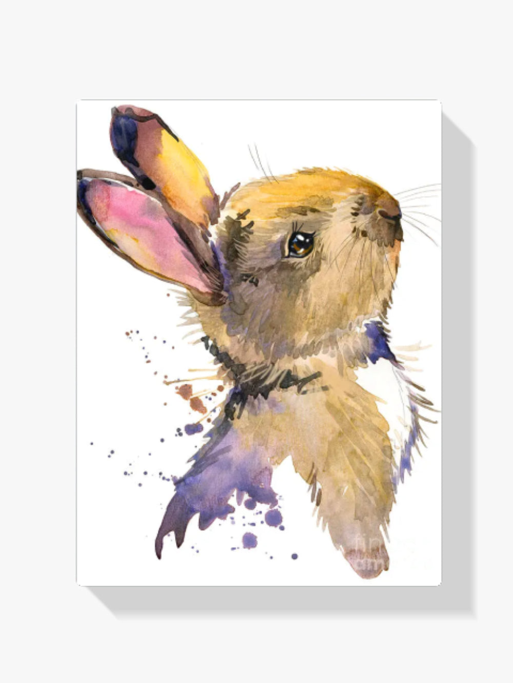 Malen nach Zahlen – Flauschiges Kaninchen