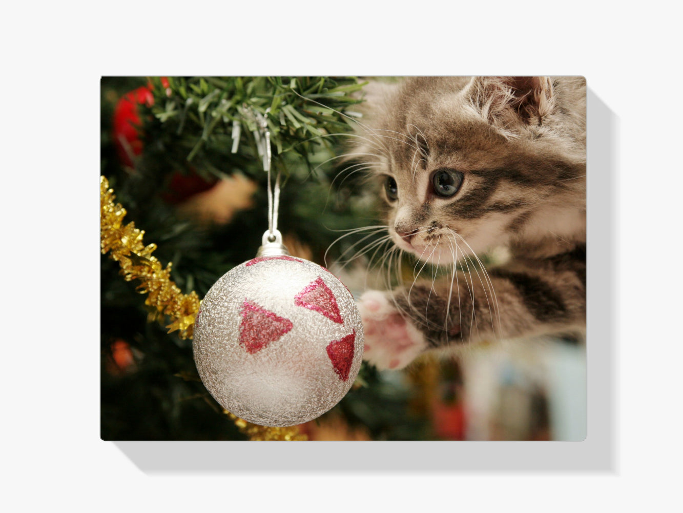 Malen nach Zahlen – Katze mit Weihnachtskugel