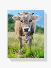 Malen nach Zahlen – Kuh auf der Wiese