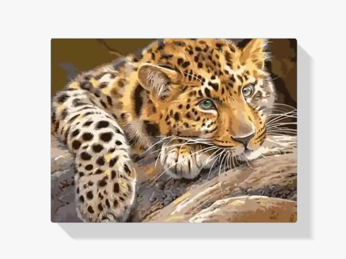Malen nach Zahlen – Leopard