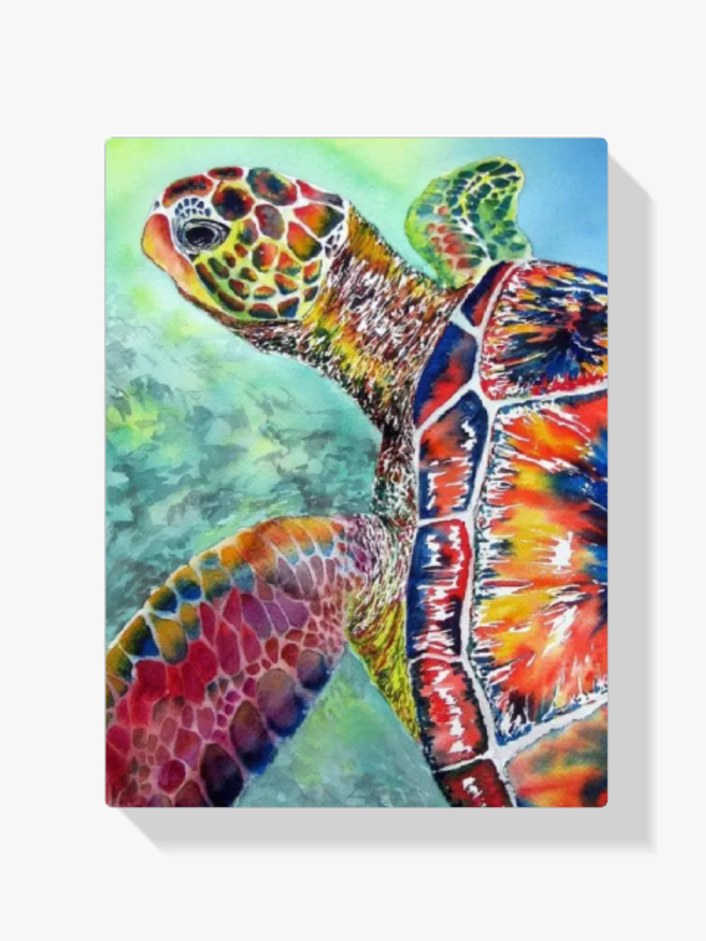 Malen nach Zahlen – Meeresschildkröte