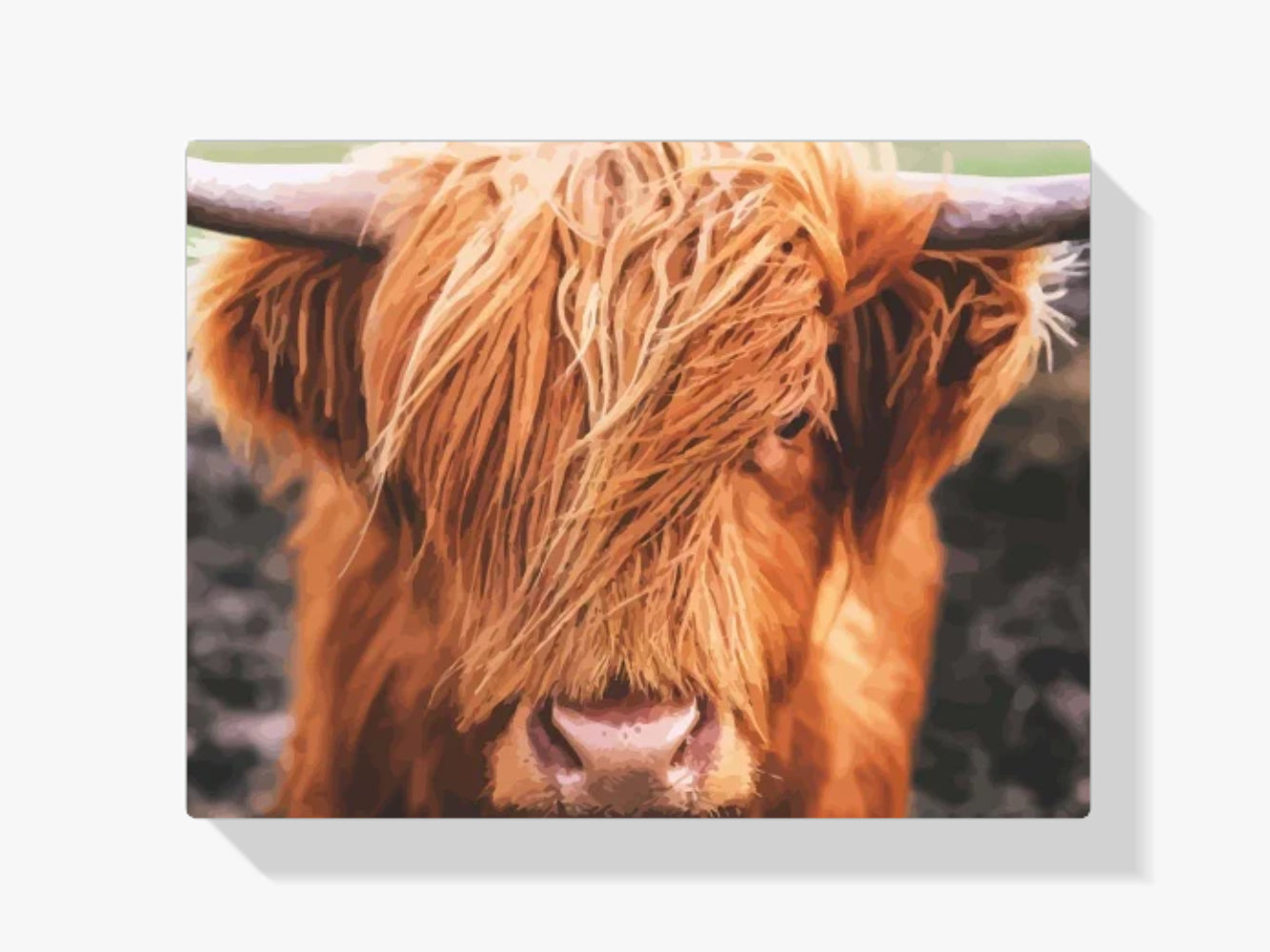 Malen nach Zahlen – Schottische Highlander