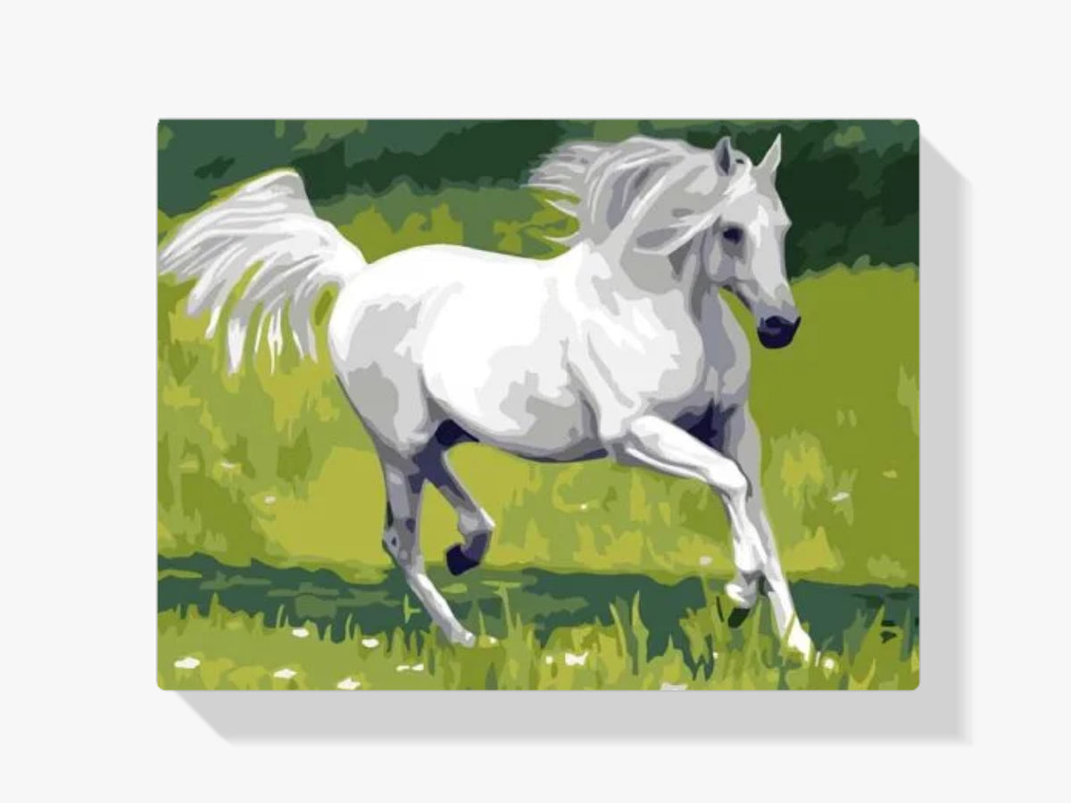 Malen nach Zahlen – Weißes Pferd