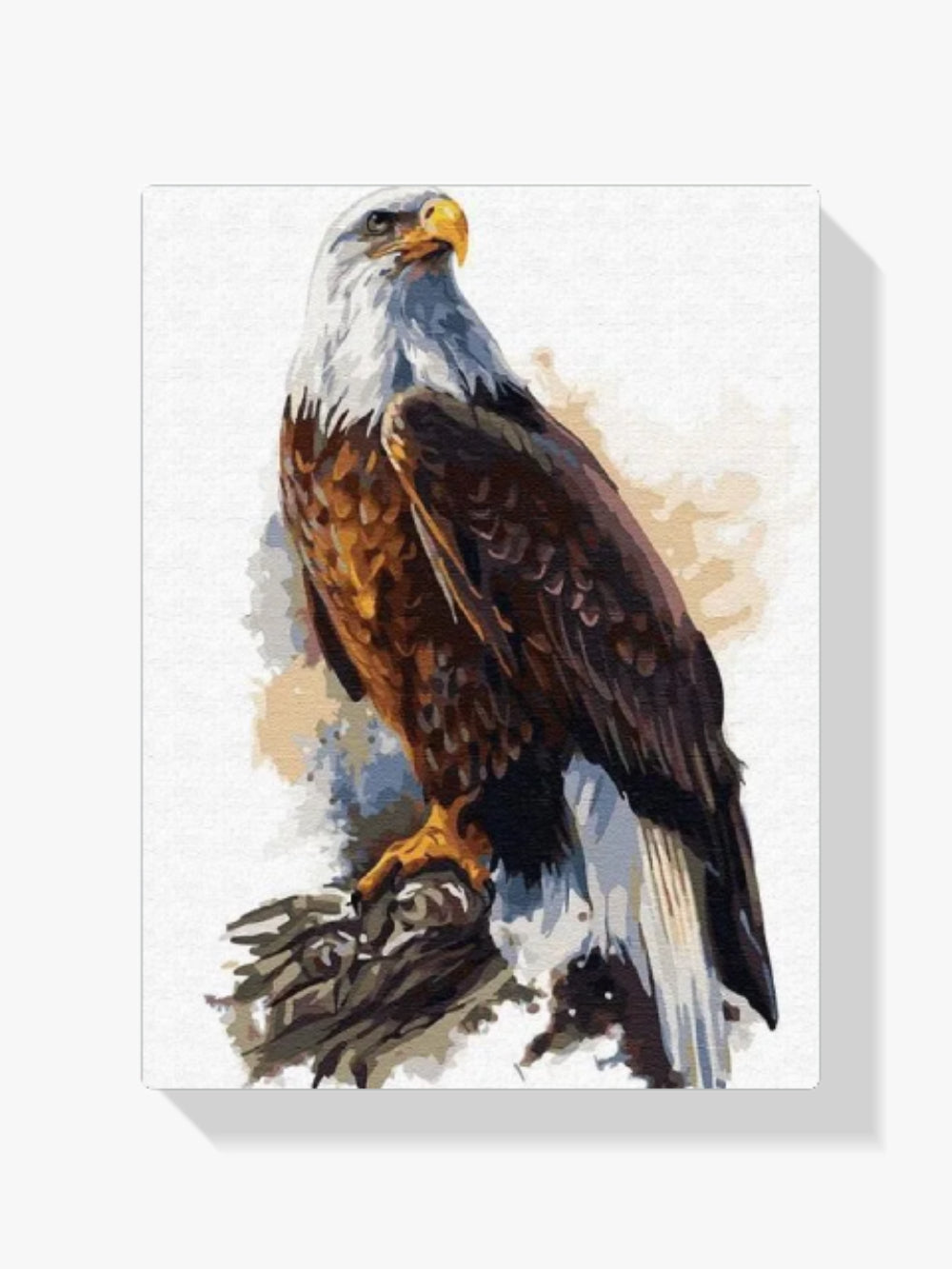 Malen nach Zahlen – Weißkopfseeadler