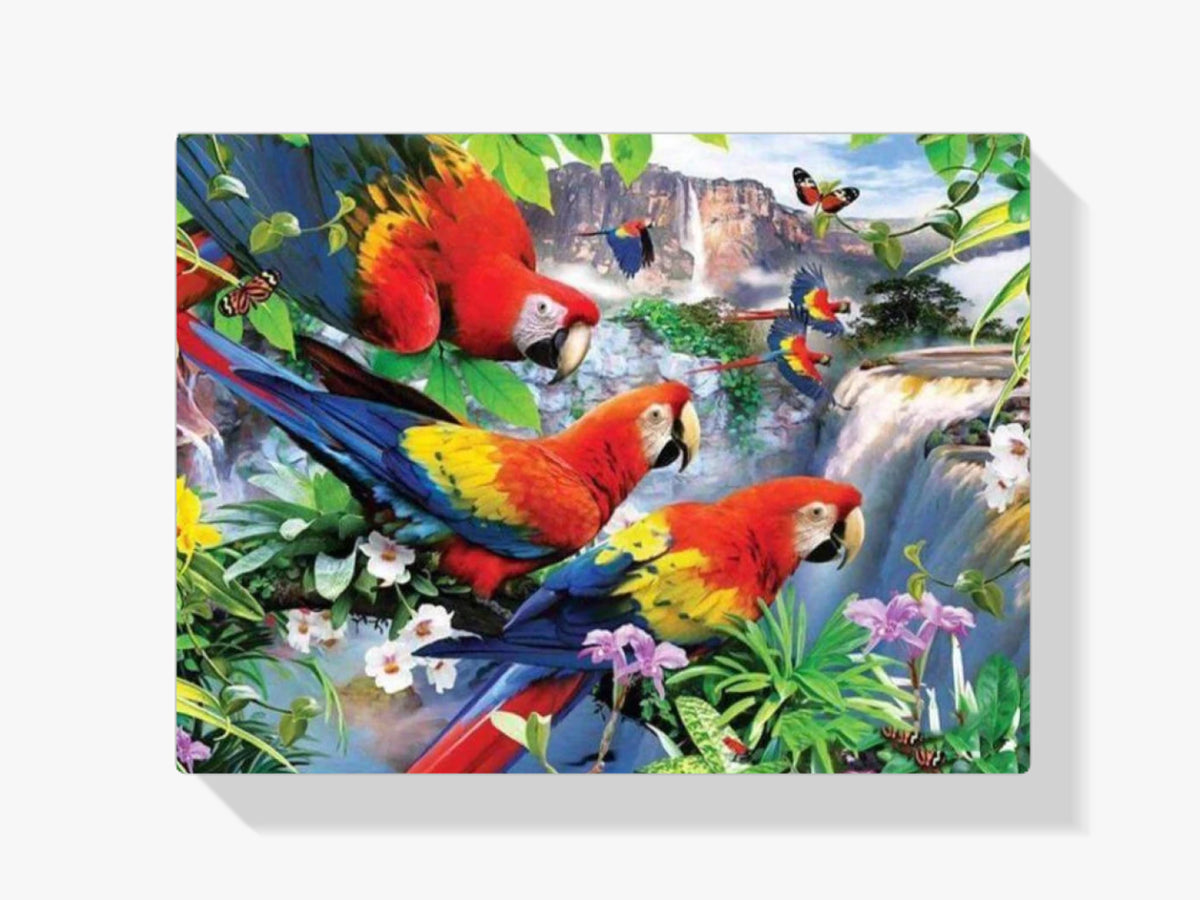 Mehrere Papageien - Malen nach Zahlen