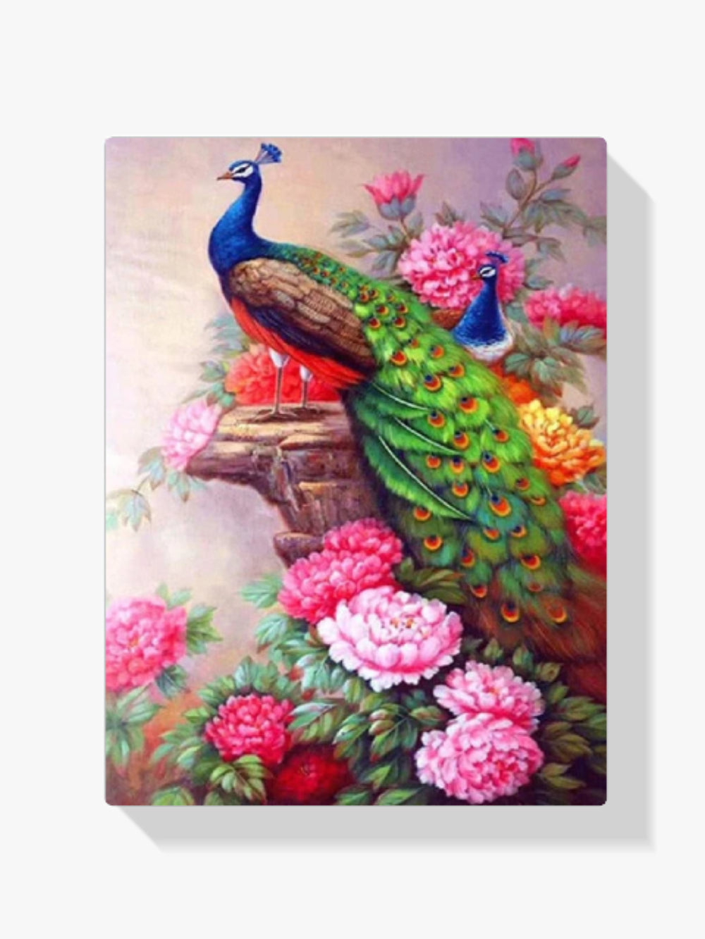 Pfau - Pfingstrosen - Malen nach Zahlen