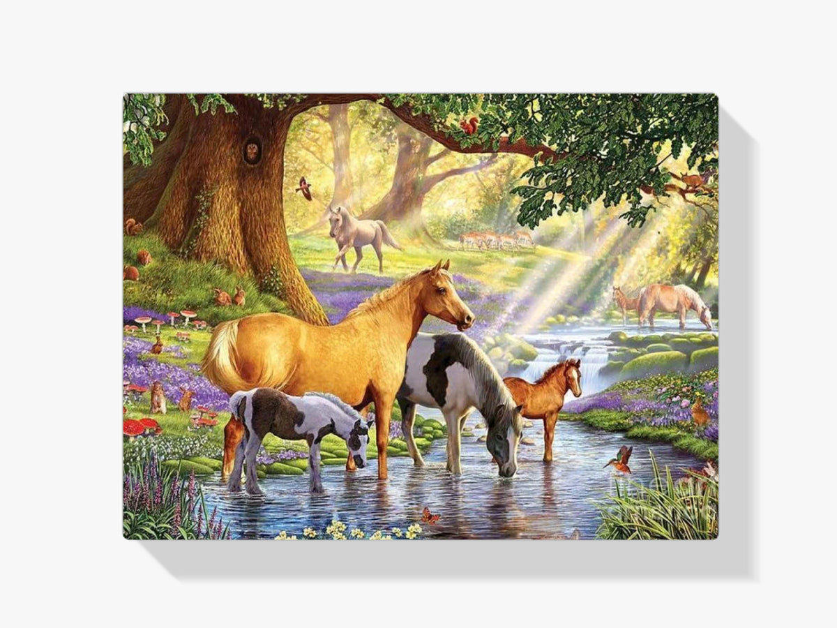 Pferde Märchen - Malen nach Zahlen