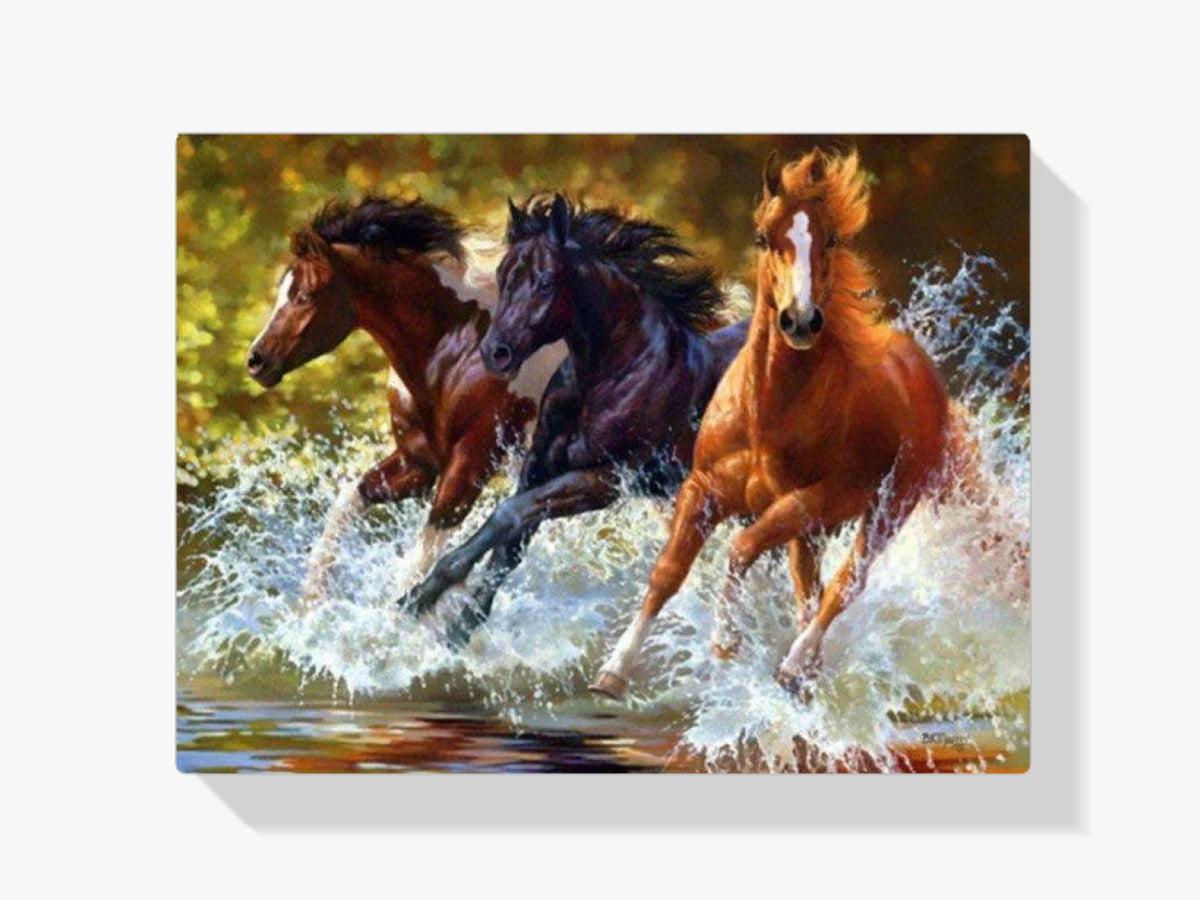 Pferde im Wasser - Malen nach Zahlen