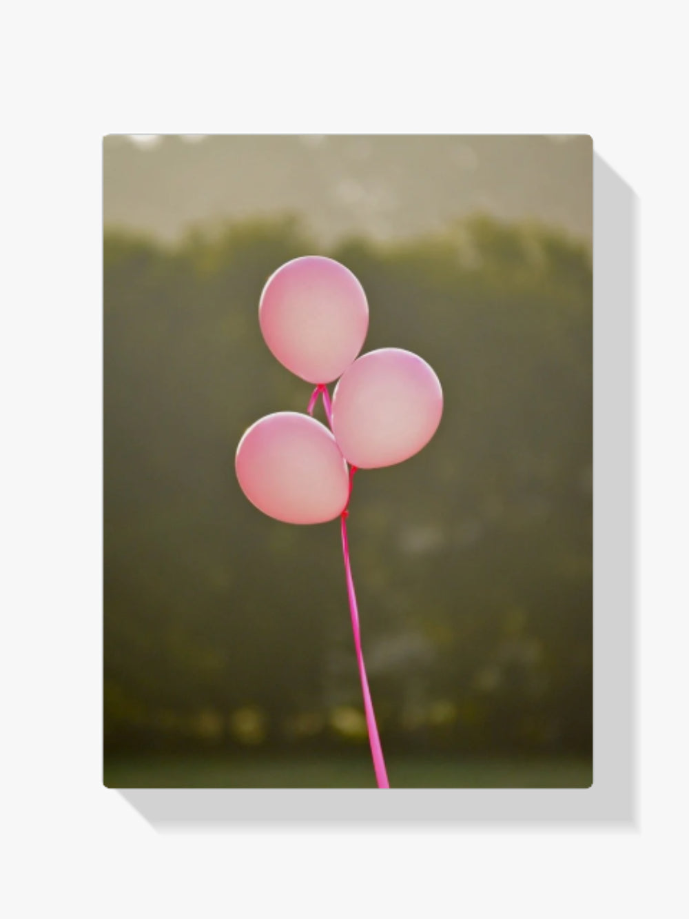 Pink Ribbon | Rosa Luftballons - Malen nach Zahlen