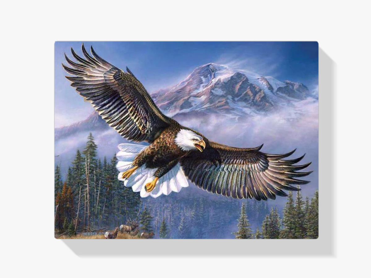 Raubvogel - Malen nach Zahlen