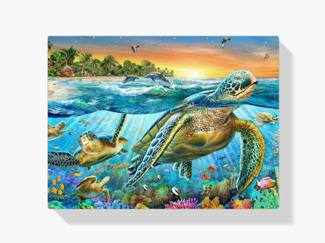 Malen Nach Zahlen Schildkrte
